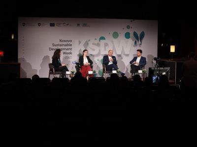 'Decarbonization – Climate, Energy and Mobility' – Commencement of the KSDW 2021 Conference 