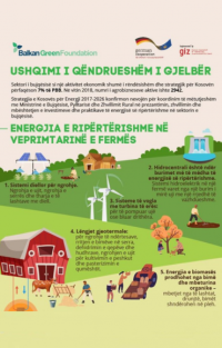 SUSTAINABLE GREEN FOOD
